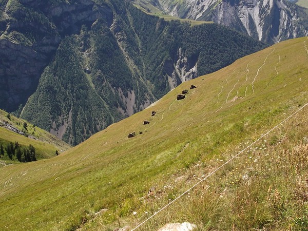 A droite, on distingue bien l'Alpe de Venosc taillé en pointe.