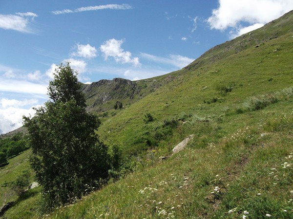 Un peu à droite de l'arbuste et des rochers, le Col de Sarenne.