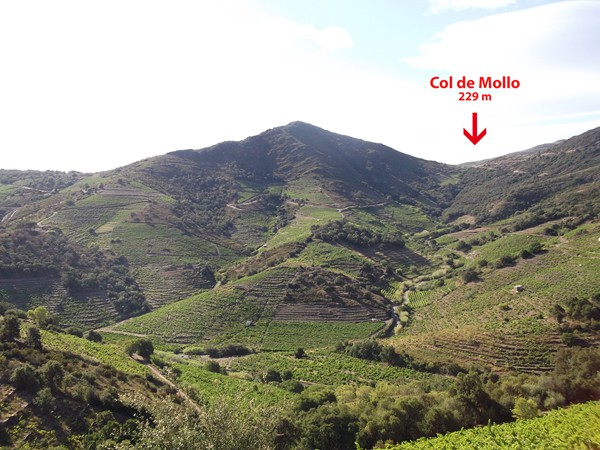 Dans la montée du Col d'en Calbo, on peut aussi voir le Col de Mollo.